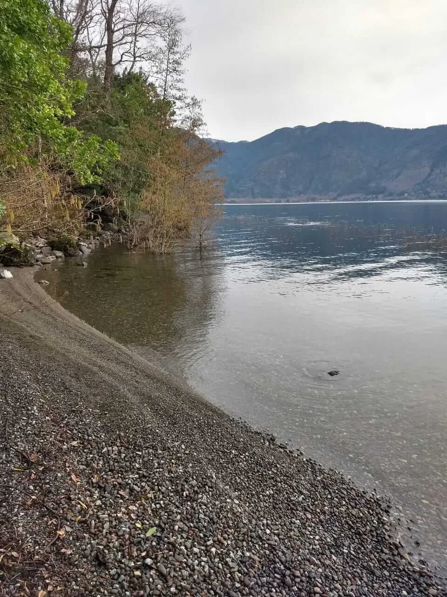 Terreno 4 Ha, Acceso Lago Colico — Cunco, Araucanía — foto 9
