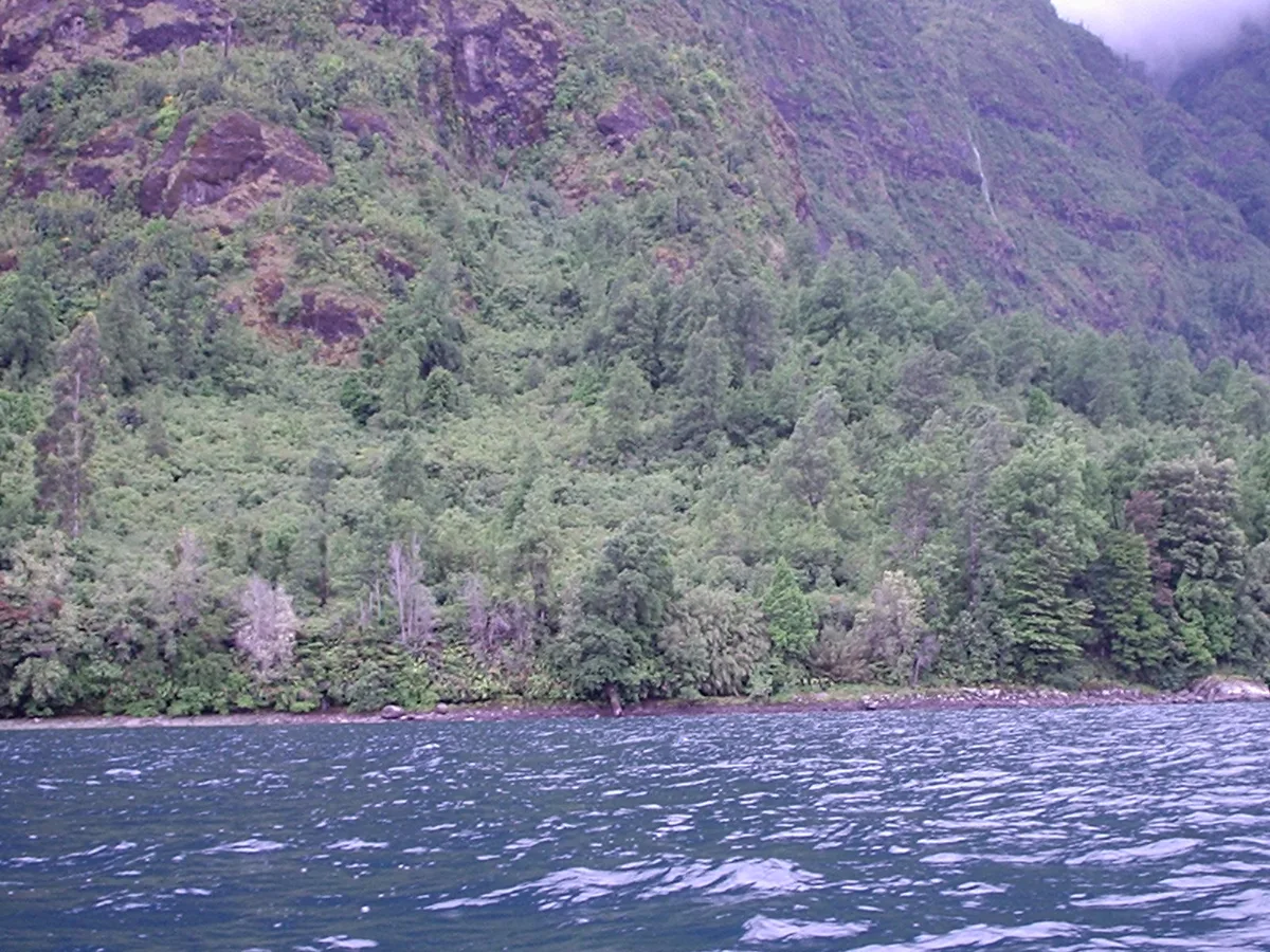 Terreno 4 Ha, Acceso Lago Colico — Cunco, Araucanía — foto 6
