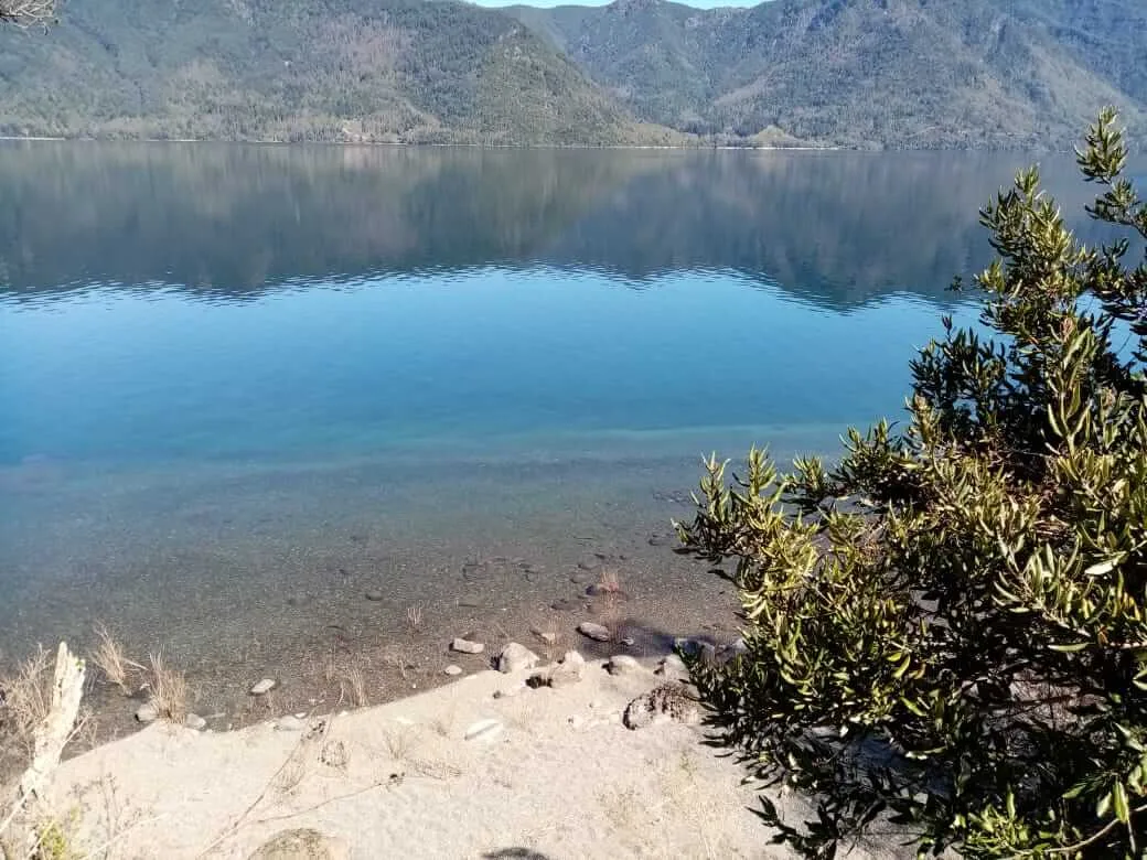 Terreno 4 Ha, Acceso Lago Colico — Cunco, Araucanía — foto 3