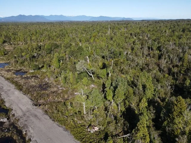 Hermosas parcelas a 15 minutos de Puerto Varas — foto 6