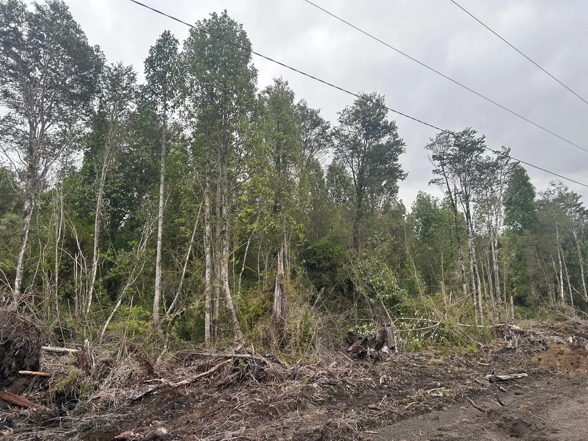 Hermosa parcela en puerto varas — foto 3