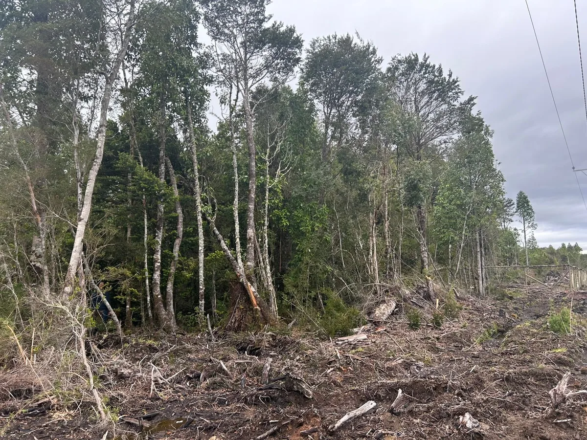Hermosa parcela en puerto varas — foto 5