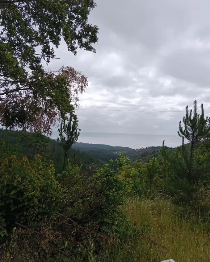 Para proyectos de conservación o Turismo de naturaleza 