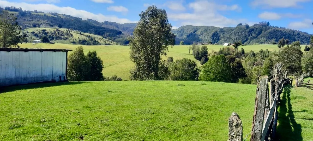 Hermosas parcelas en Fresia, Región de Los Lagos — foto 3