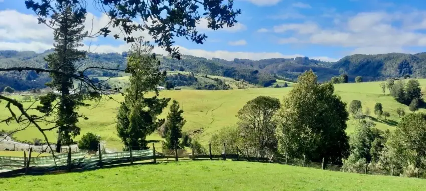 Hermosas parcelas en Fresia, Región de Los Lagos