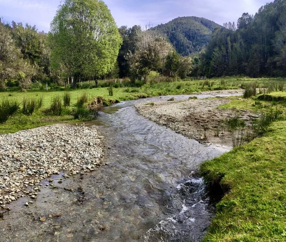 Hermosas parcelas en Fresia, Región de Los Lagos — foto 4