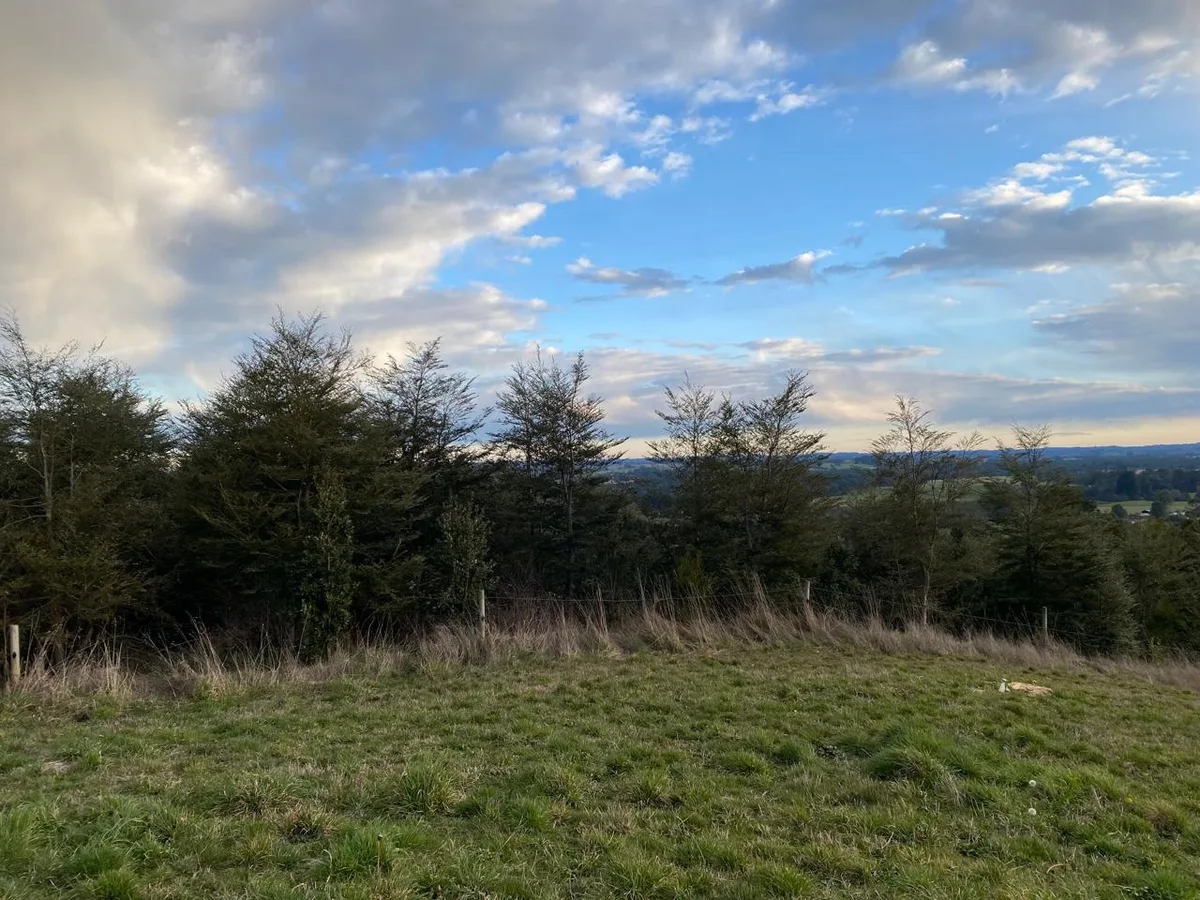 Hermosa Parcela en Puerto Varas — foto 3