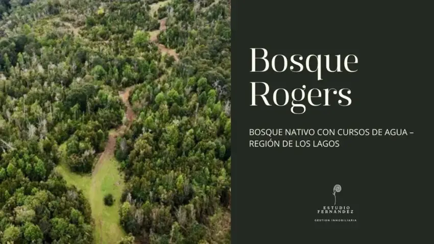 Bosque Rogers, dos ríos y un estero 