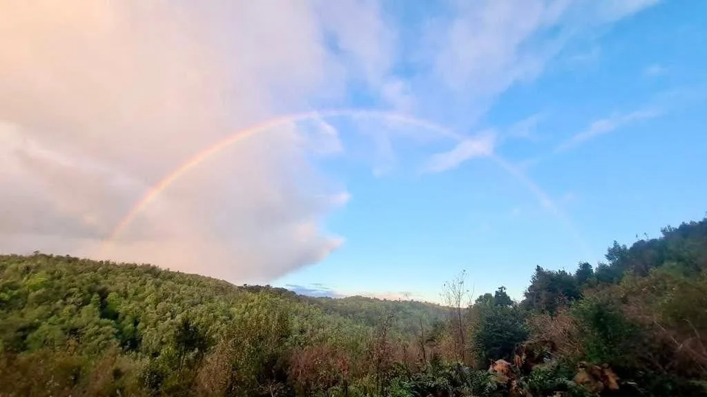 Bosque Rogers, dos ríos y un estero  — foto 3