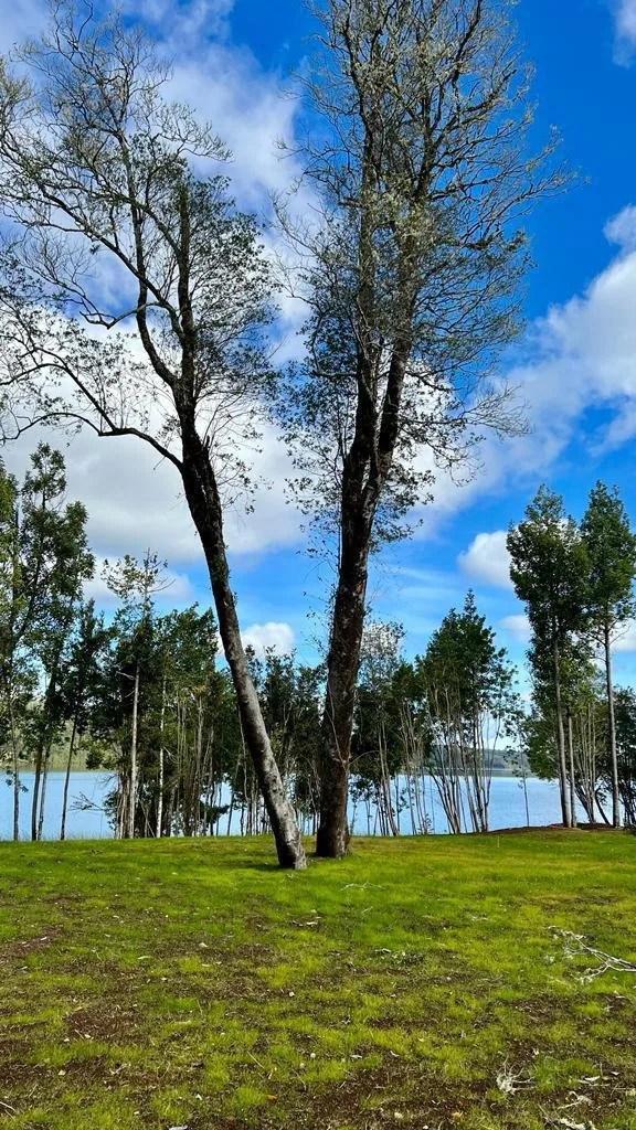 Rivera Tarahuín - imagen 8