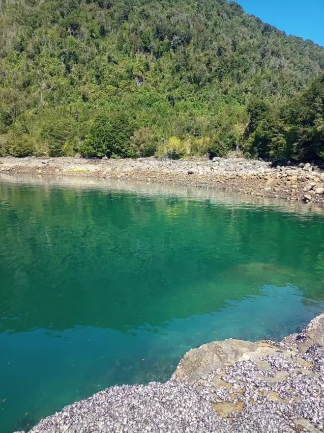 Parcelacion Isla Llancahué (Hualaihué)