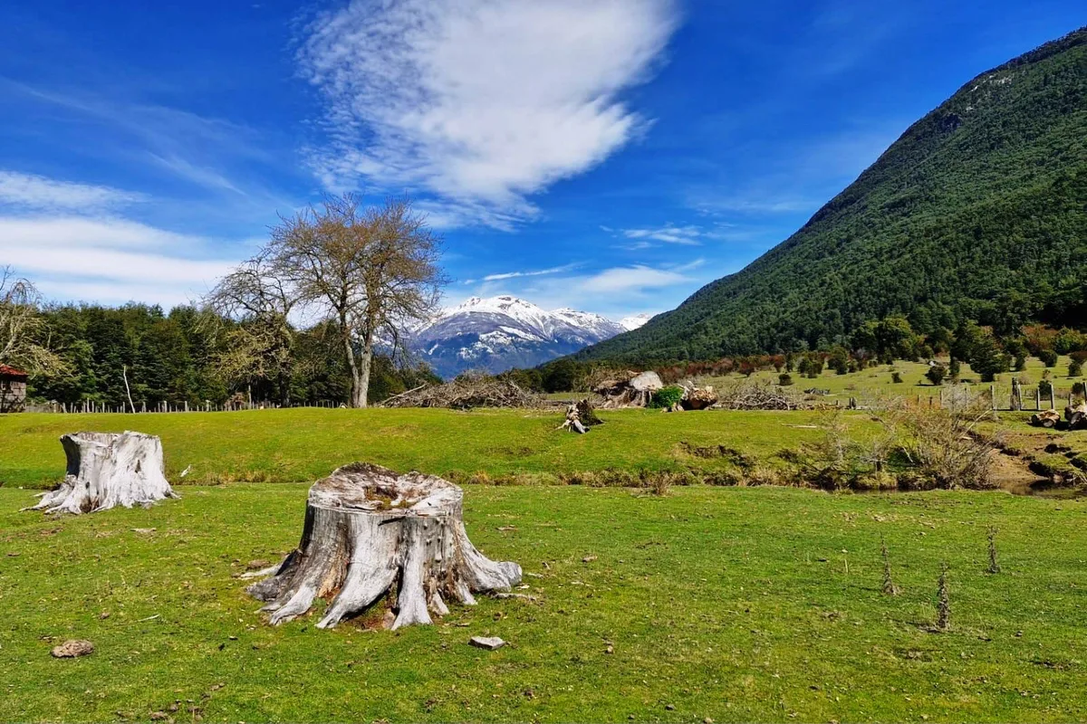25% Terreno Cochamó — foto 6