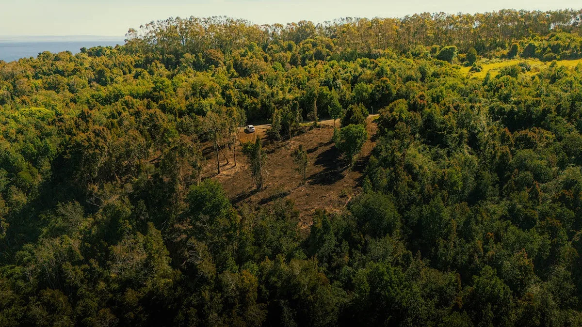 Proyecto Vive Quenuir bajo, Ubicadas en un Entorno Natural — foto 7