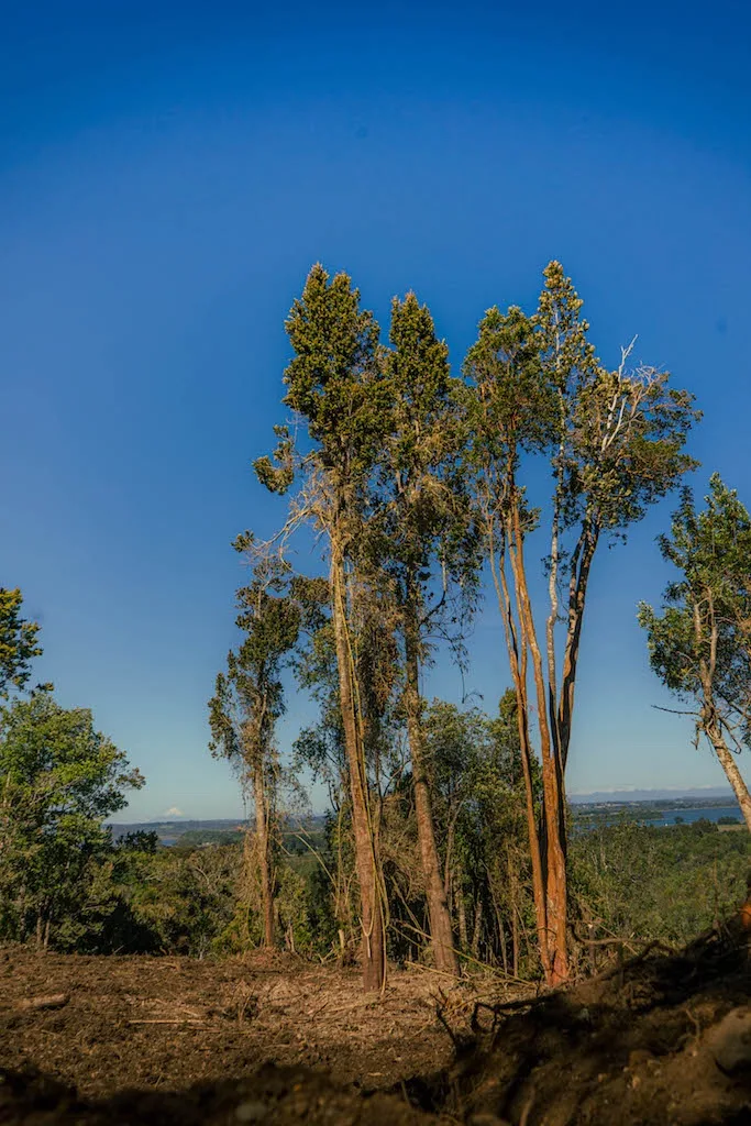 Proyecto Vive Quenuir bajo, Ubicadas en un Entorno Natural — foto 8