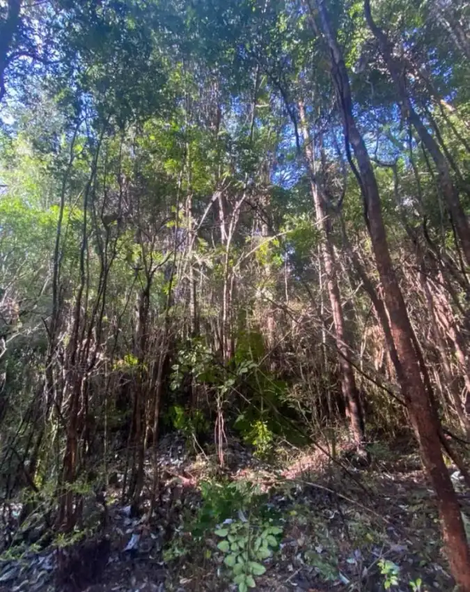 Hualaihué, Región de Los Lagos, Chile - Hualaihué
