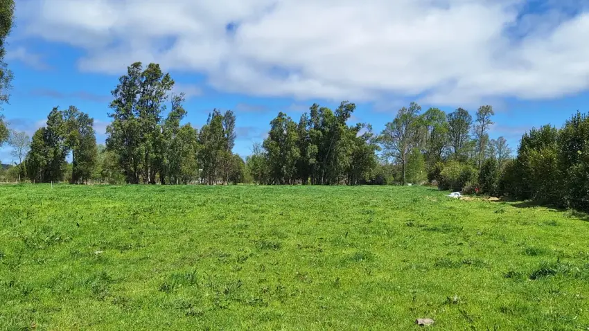 Campo 5,75 ha orilla camino asfaltado - Fresia 