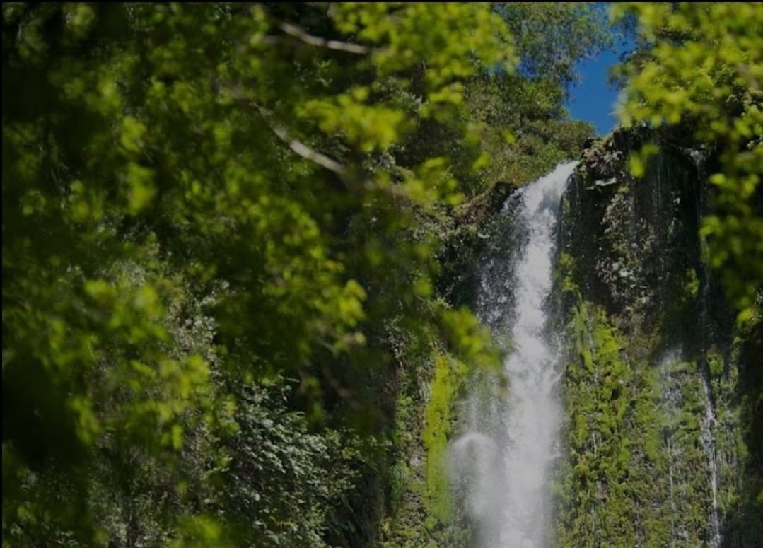 Vista 2