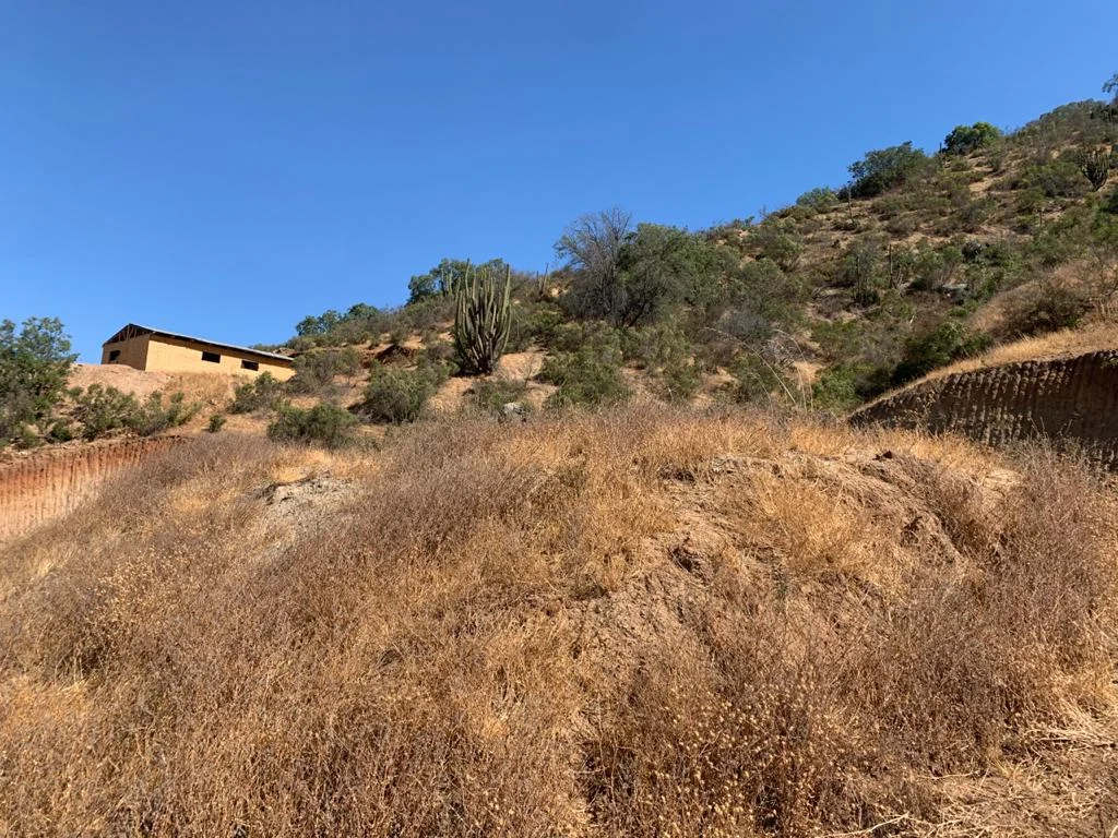 Curacaví, Parcela Hacienda San Jose 251 Lr — foto 4