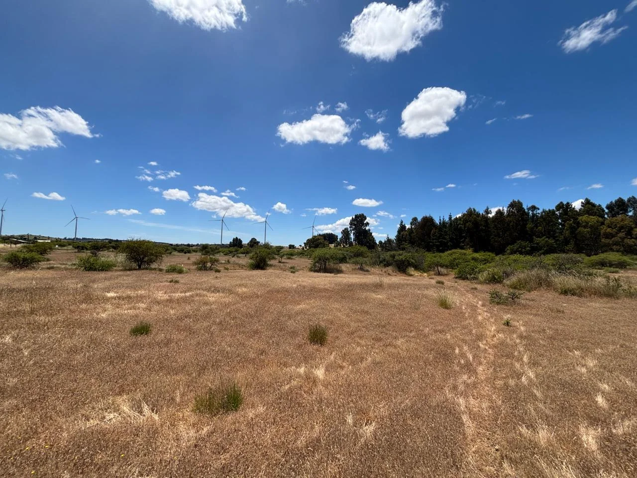 Vista 2
