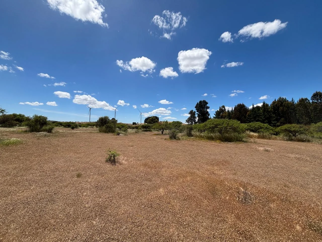 PARCELA – 2,17 HECTÁREAS – SECTOR MANANTIALES, LITUECHE  — foto 4