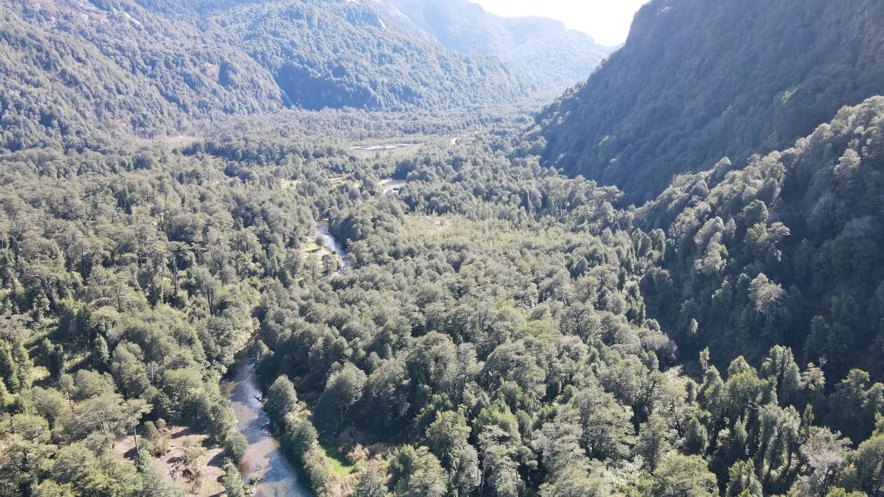 Oportunidad, venta por apuro 8ha Aysén — foto 3