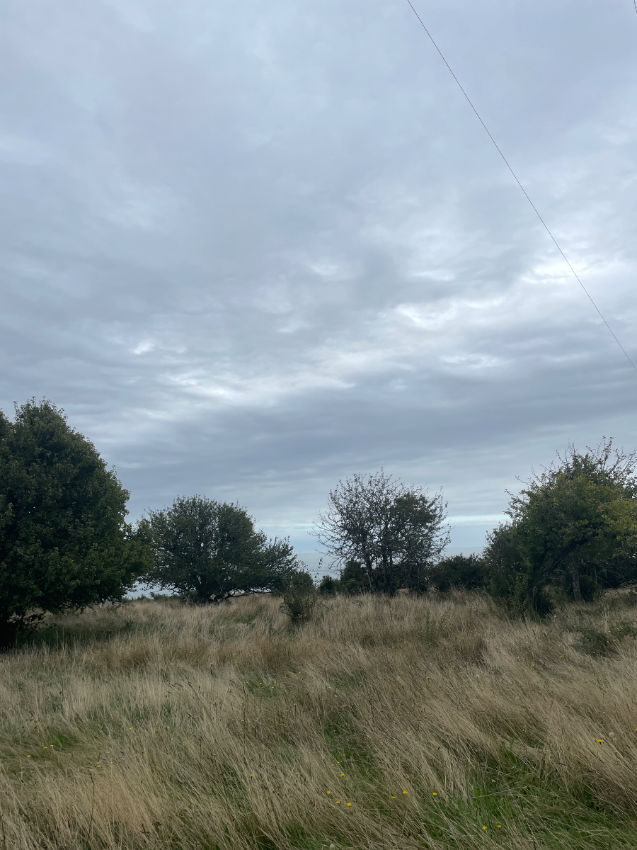 Hermoso campo con vista al mar en Hualaihué, Patagonia — foto 5