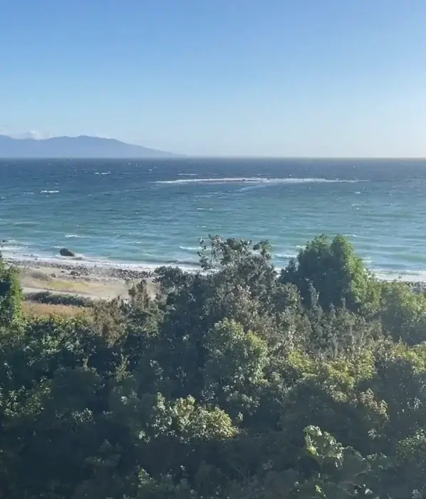 Hermoso campo con vista al mar en Hualaihué, Patagonia