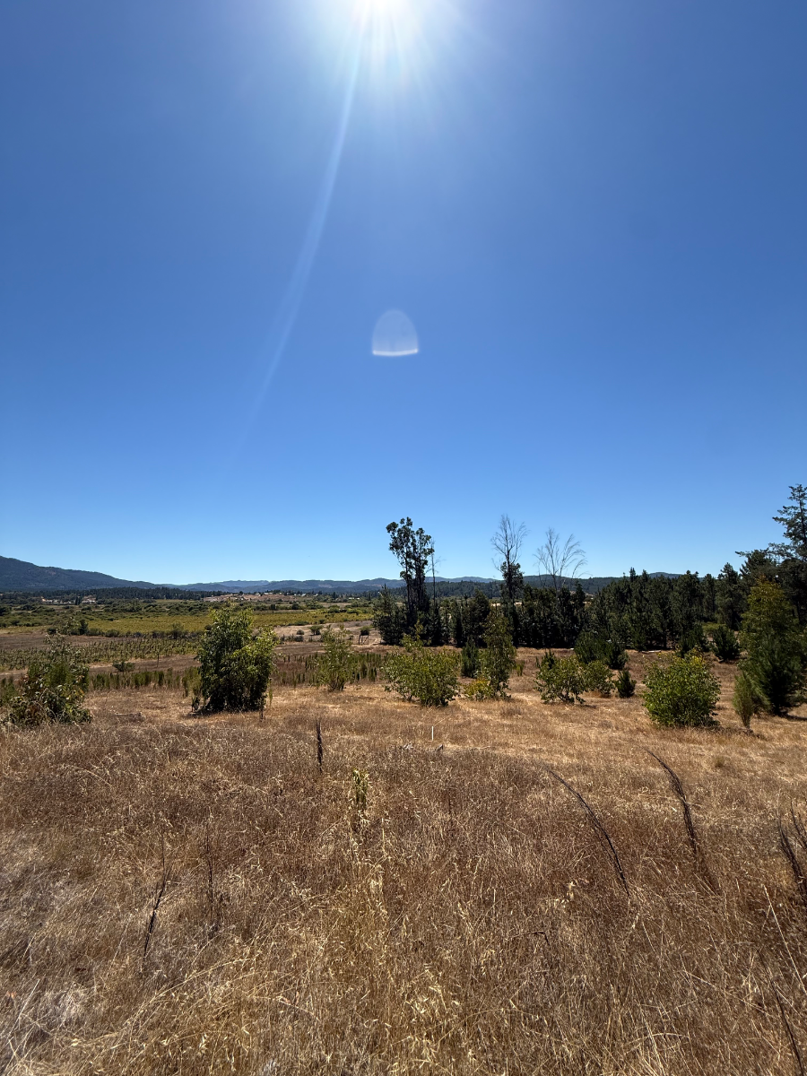 Terreno en Coronel del Maule — foto 3