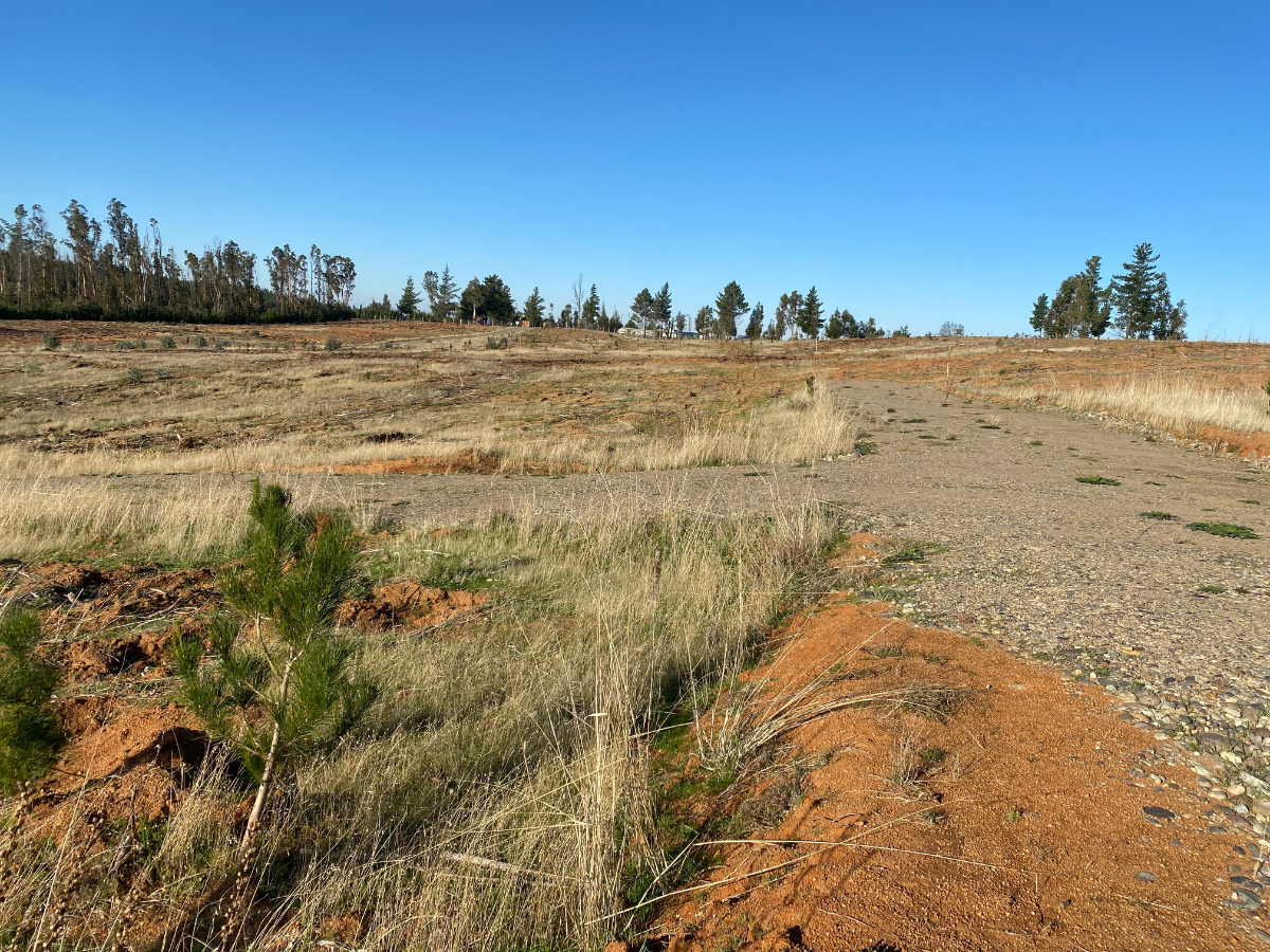 Terreno en Coronel del Maule — foto 5