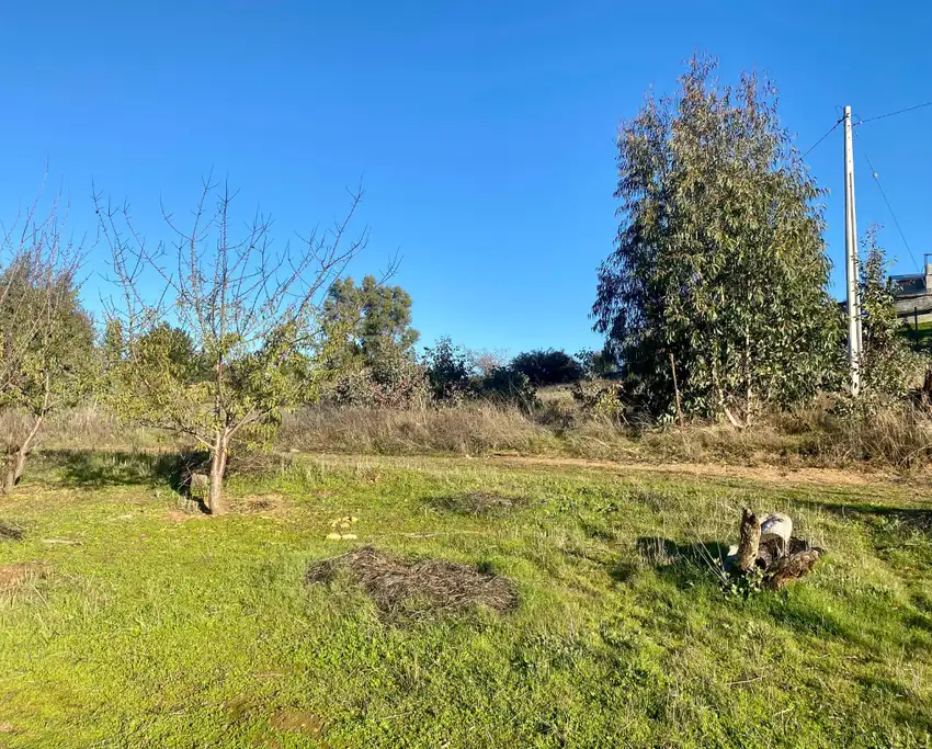 Terreno en Coronel del Maule