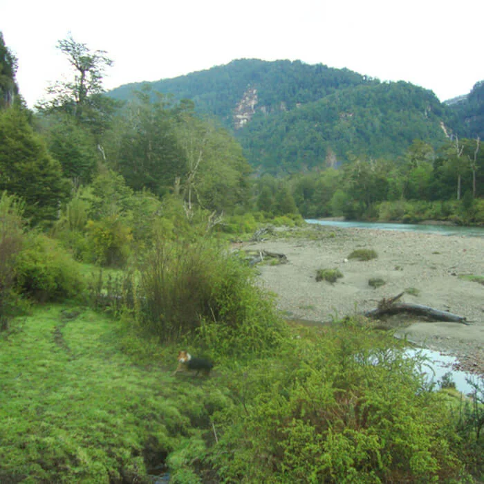 Vive la Patagonia real - 6 hectáreas, río y privacidad total — foto 10