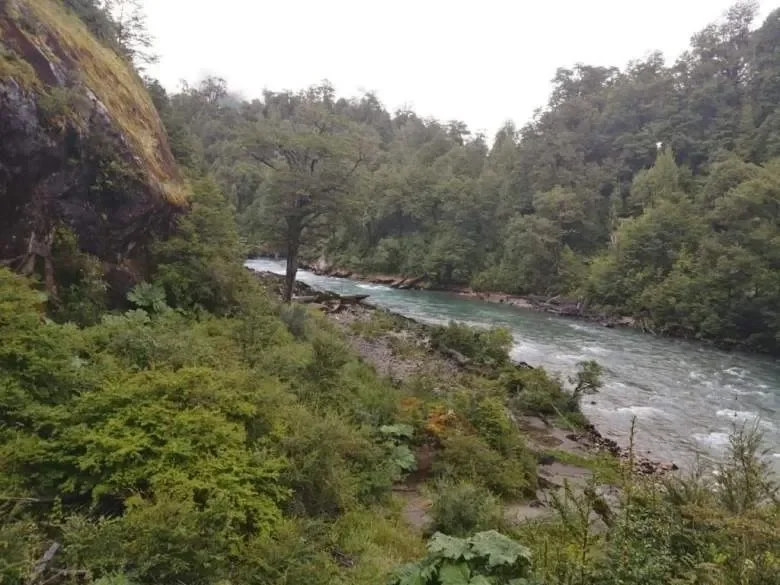 Vive la Patagonia real - 6 hectáreas, río y privacidad total — foto 8