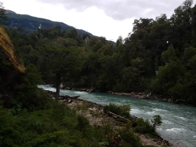 Vive la Patagonia real - 6 hectáreas, río y privacidad total — foto 9
