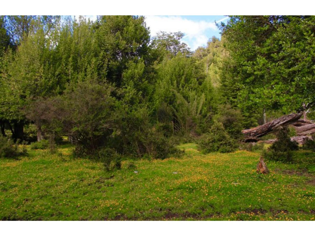 Vive la Patagonia real - 6 hectáreas, río y privacidad total — foto 4