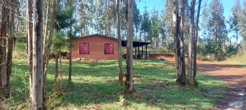 Parcela 1 ha con cabaña en Mariquina