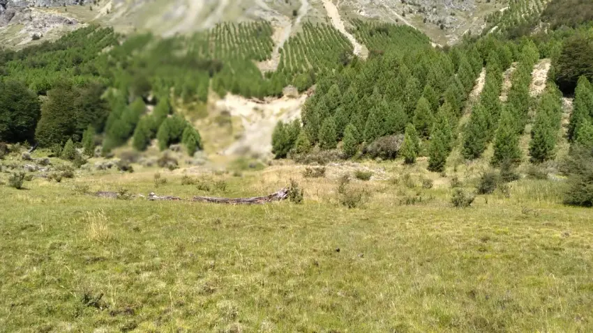Terreno en Patagonia Sector Arroyo el Gato