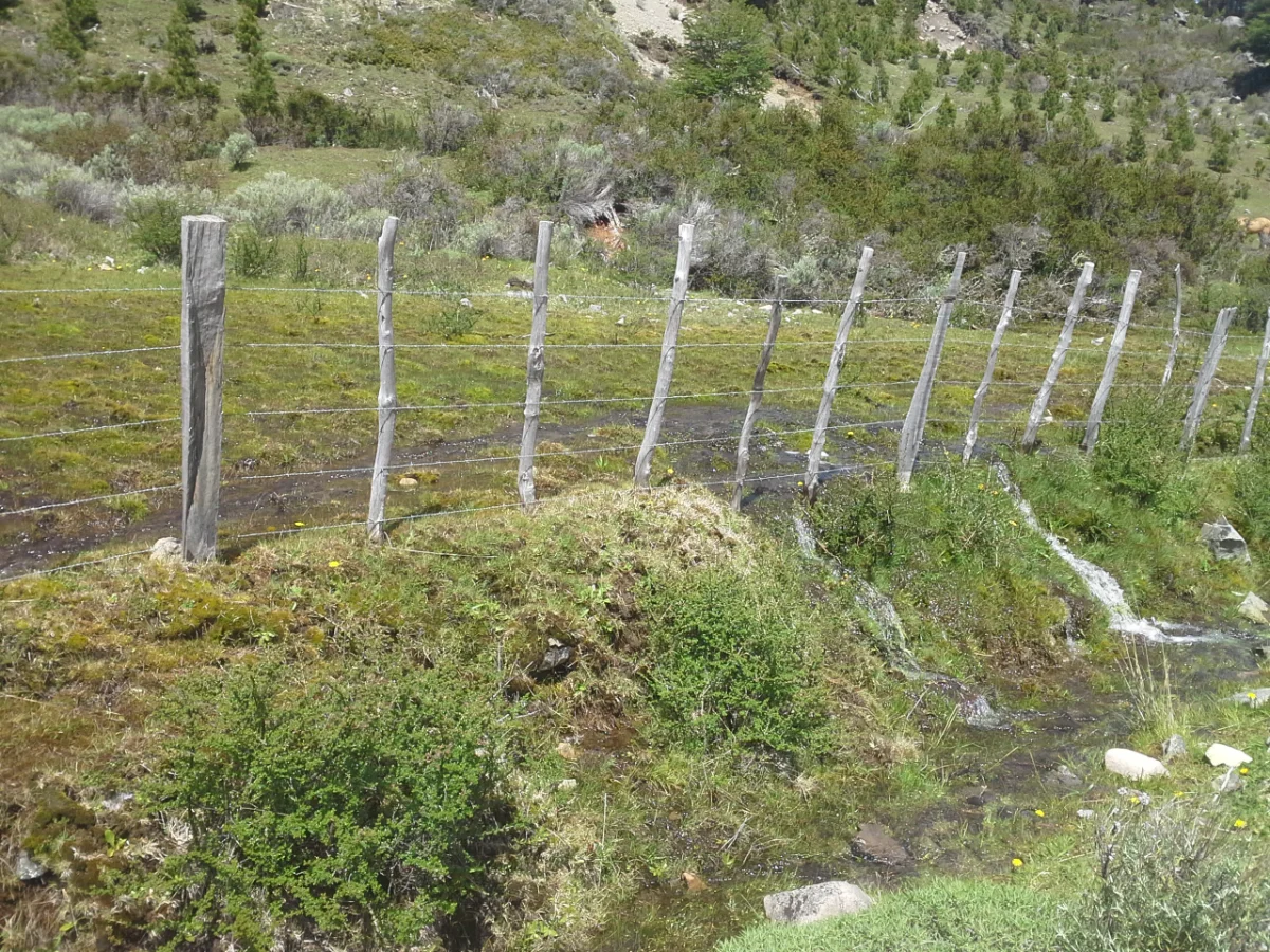 Terreno en Patagonia Sector Arroyo el Gato — foto 5