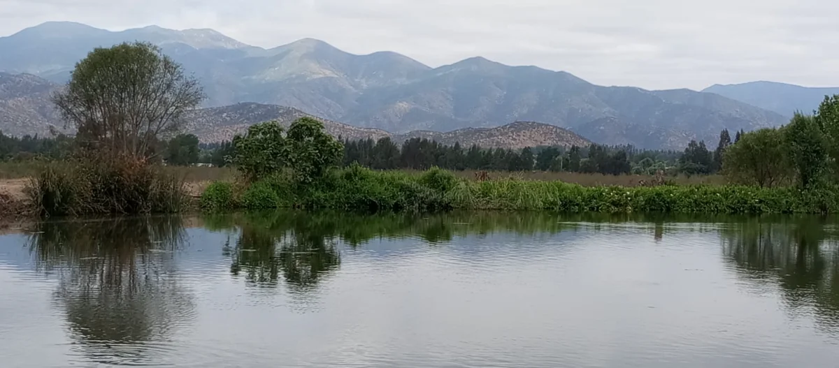 Terrazas del Puangue — foto 10