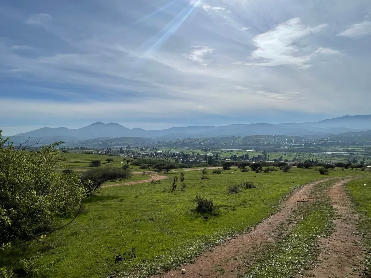 Altos de Limache - imagen 2