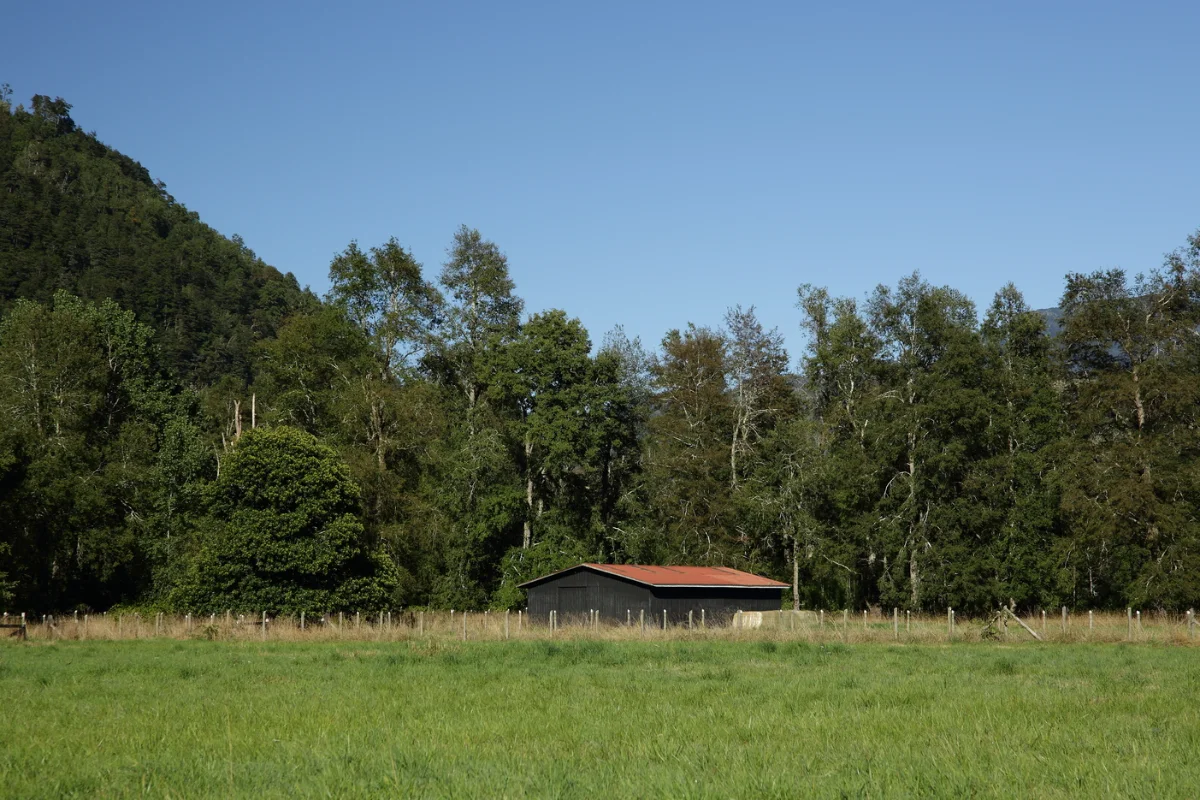Vista 2