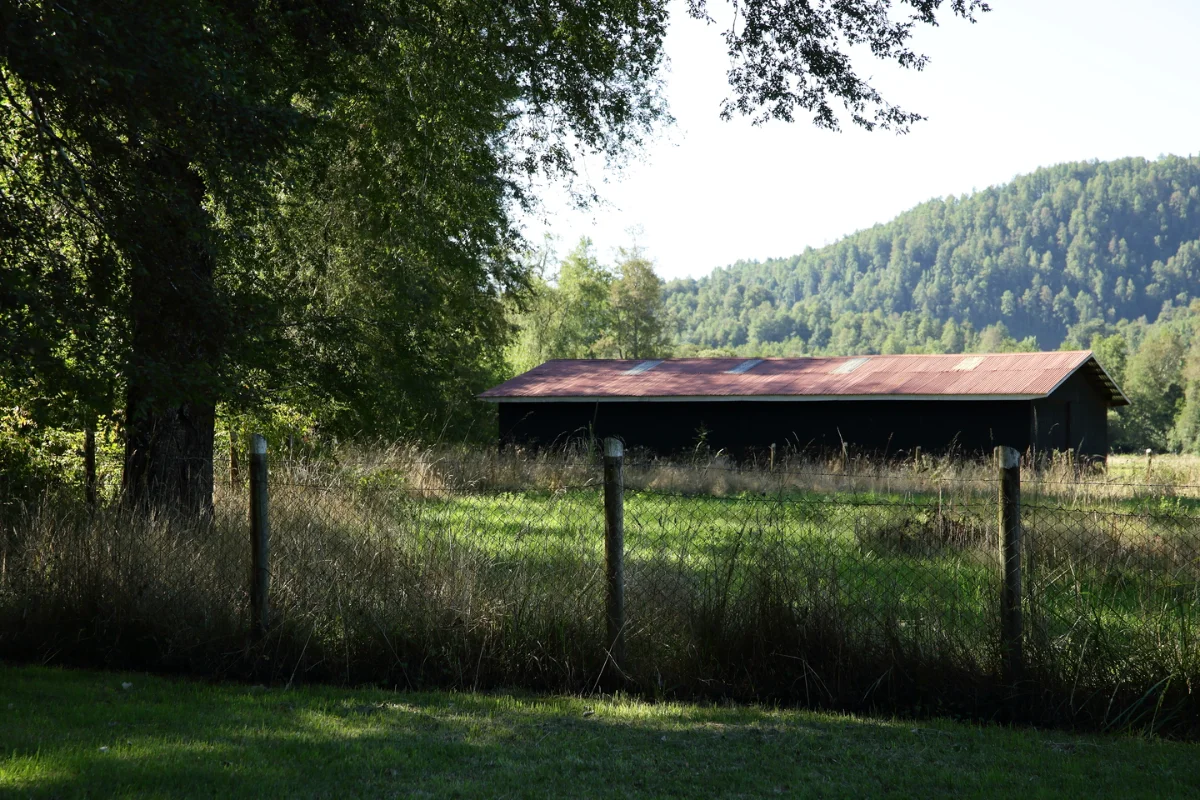 Parcela en venta en Panguipulli — foto 9
