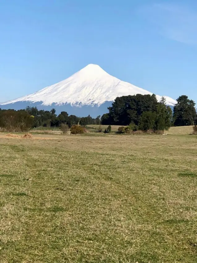 Parcelas en Puerto Octay –  Naturaleza y tranquilidad