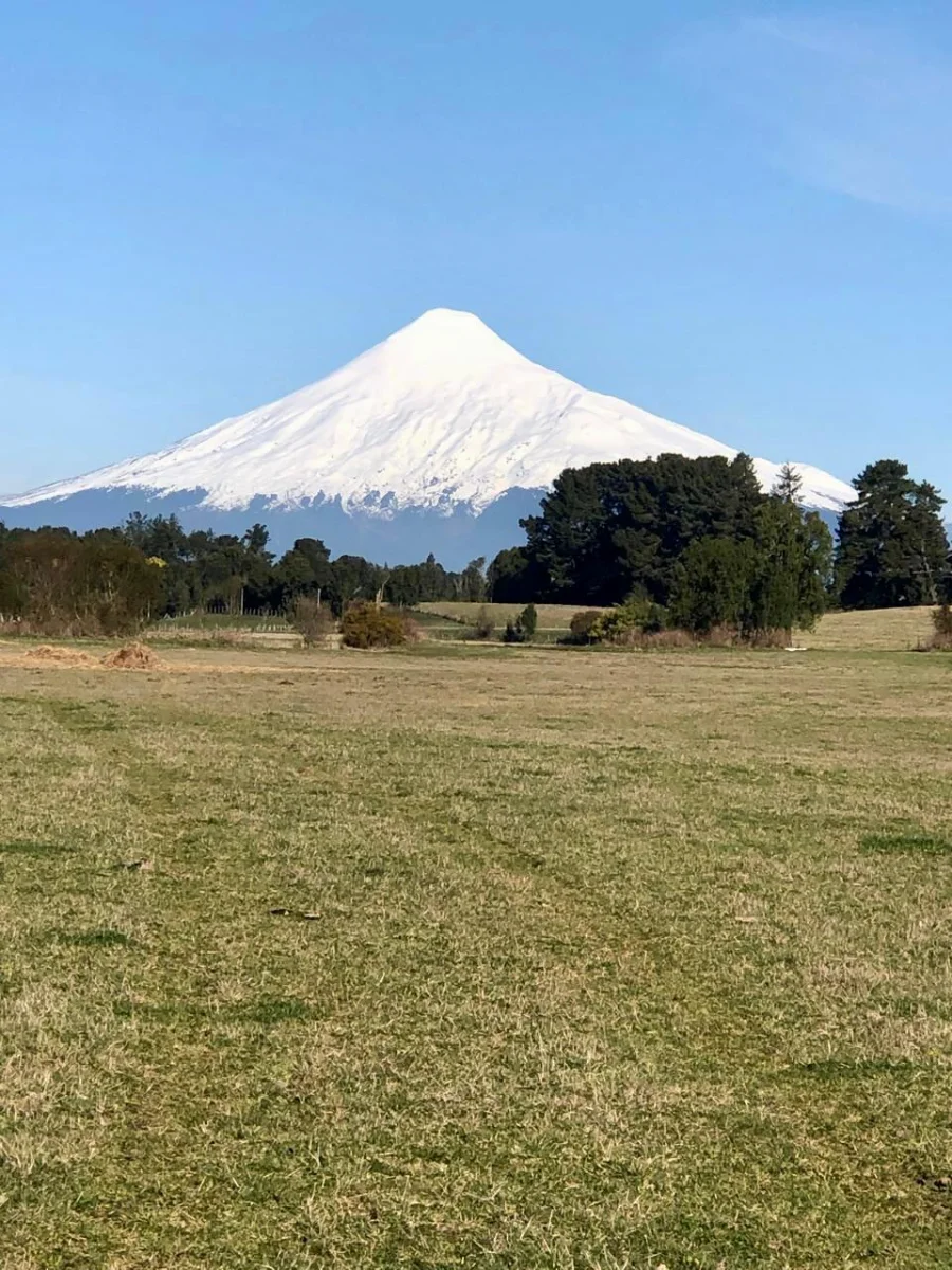 Parcelas en Puerto Octay –  Naturaleza y tranquilidad - imagen 1