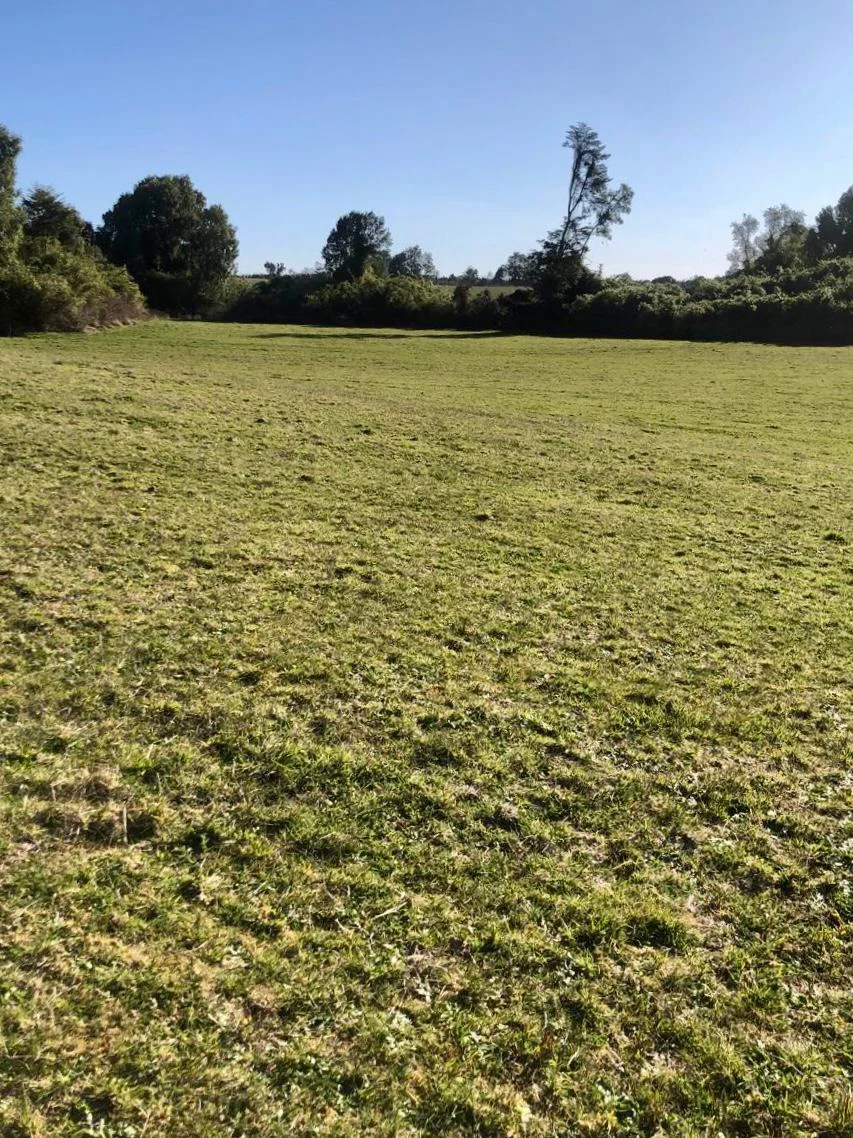 Parcelas en Puerto Octay –  Naturaleza y tranquilidad - imagen 4