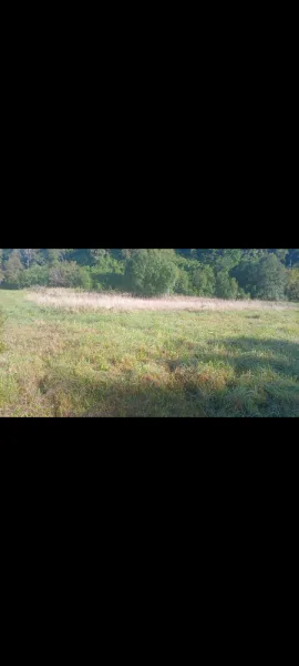 Hermosa parcela cerca de puerto varas