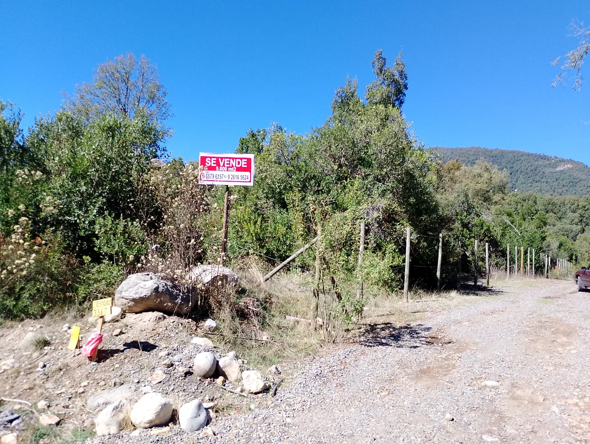 Parcela, sitio, terreno — foto 5