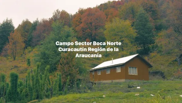 Hermoso Campo en venta con Cabaña