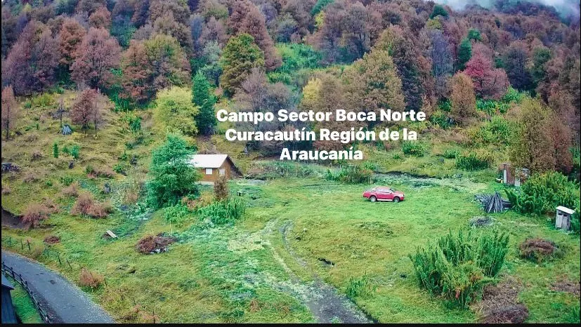 Hermoso Campo en venta con Cabaña — foto 3