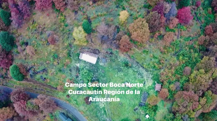 Hermoso Campo en venta con Cabaña — foto 5