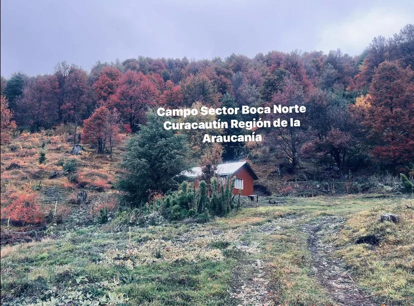 Hermoso Campo en venta con Cabaña — foto 4